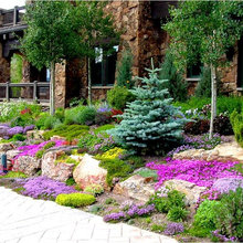 Colorado Gardens