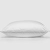 Aspen Hypodown Pillow, Standard, Medium
