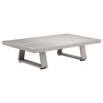 Pangea Home - Air Coffee Table, Grey - A sleek modern coffee table