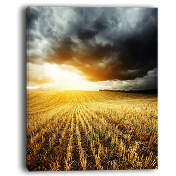 "Storm Dark Clouds Over Wheat Stems" Landscape Artwork Canvas, 12"x20"