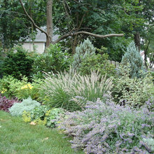 Landscape design