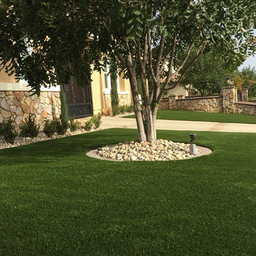Eco Olive 80 in Corona, CA