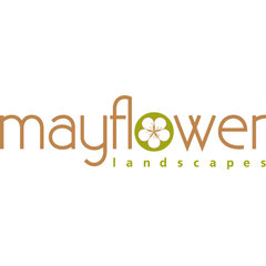 Mayflower Landscapes
