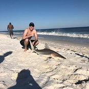 Nick Whitt's photo