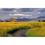 Rick McGrath's photo