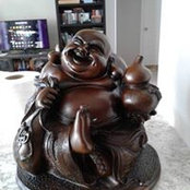 Dyann Bachman's photo