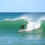 Sonya Woodman's photo