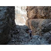 Jeanne Newbold's photo