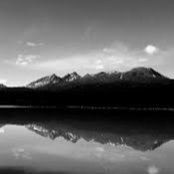 Kim Skidmore's photo
