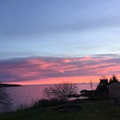 Foto von Carolyn Coull