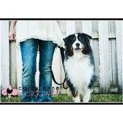 Lisa Watson's photo