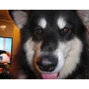 Mark Montgomery's photo