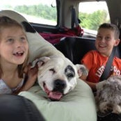 Allysen Blakely- Dolan's photo