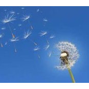 Lena Lachmann's photo