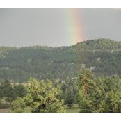Diane Lange's photo