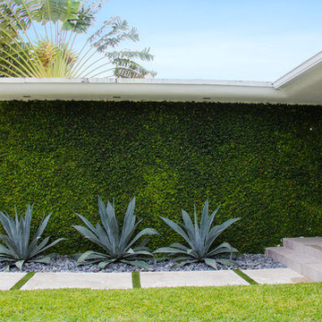 Miami Beach Residence