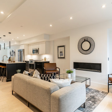 Southwest DC Duplex Renovation