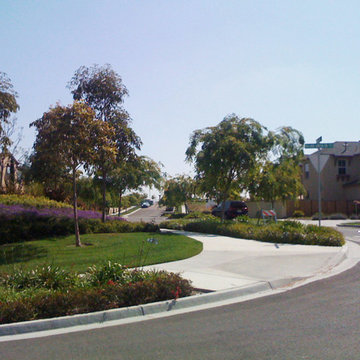 Landscape Designs