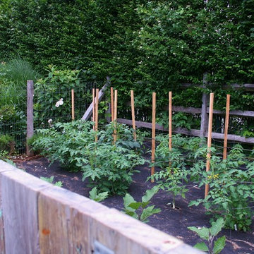 Vegetable Garden