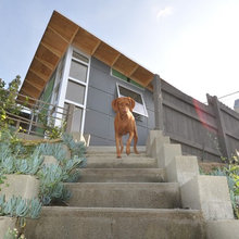 Studio Shed