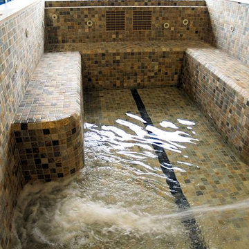 Swim Spa - Aspen, CO
