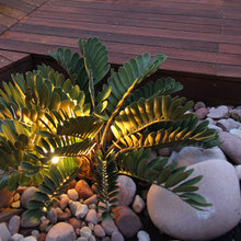 Plants