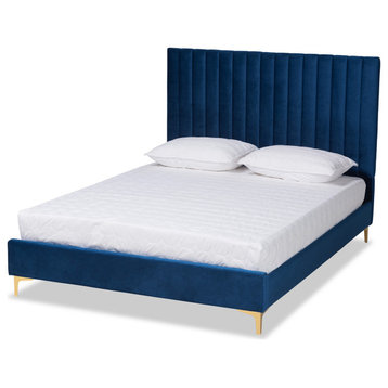 Denica Glam and Luxe Upholstered Platform Bed, Navy Blue/Gold, Queen