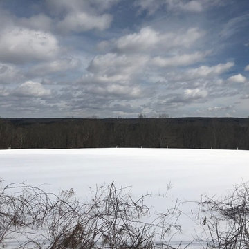 Building Lots - Available