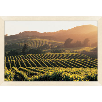 Wine Country Haze 2, Giclee Reproduction Artwork