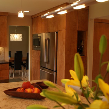 Mendota Heights Modern