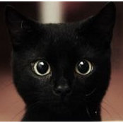 Char Heppel's photo