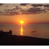 Barbara Wittwer's photo