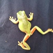 Kim Chadwick's photo