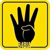 Ahmed Kamel's photo