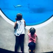 Sarah Dixon's photo