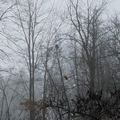 Tyler Coldwell's photo