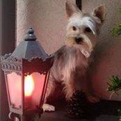 Foto von Aida Martinez