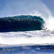 Tyler Lewis's photo