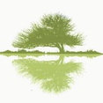 Outdoor Dimensions's profile photo