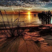 Susan R's photo
