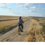 Yael Gronner's photo