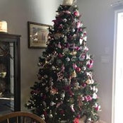Christy Kaiser's photo