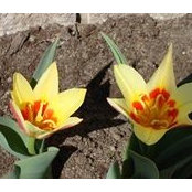 Tracey Mackenzie's photo