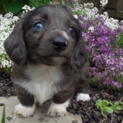 Heather Gough's photo