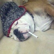 Frank Dafcik's photo