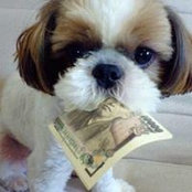 Lynn Marshall Hayes's photo