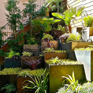 Sunset Idea House 2016