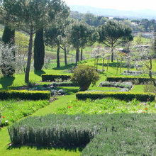 gardening