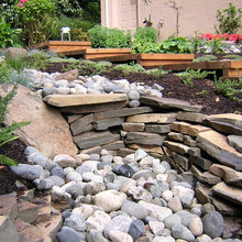 Dry Creek - Backyard