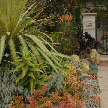 Mediterranean Paradise Garden, Coronado, California
